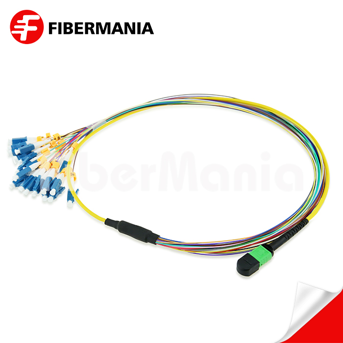 iFiberMania's tweet photo. Let our mpo 24 fiber cable be your best gift. https://t.co/miEuj9fkRh #mpo24fibercable #singlemodefiberopticcable #buyfiberopticcable https://t.co/O24NcJtC4h