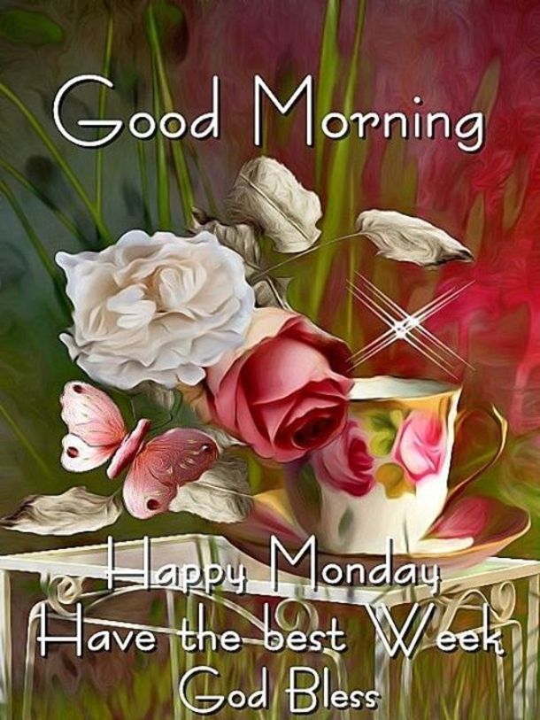arpv238555's tweet photo. Good morning happy Monday happy new week my dear friends https://t.co/iDSUasyLY3