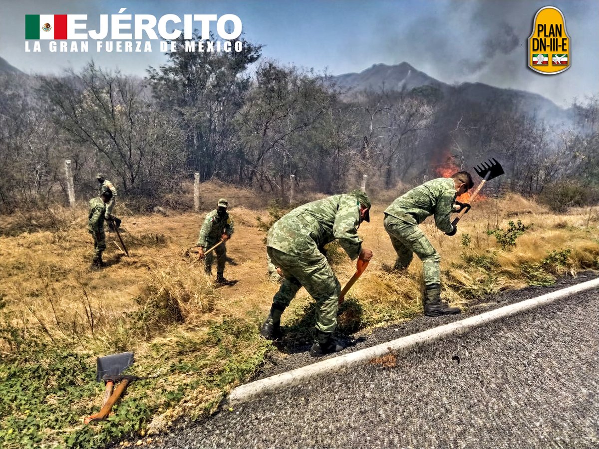 Defensamx1's tweet photo. Elementos pertenecientes a la #46ZonaMilitar  aplican el #PlanDNIIIE sofocando un incendio forestal sobre la carretera Ixtepec-Salinas Cruz, en el kilometro 43-44 del estado de #Oaxaca
#UnidosSomosLaGranFuerzaDeMéxico #CadaDíaCadaSoldadoPorCadaMexicano https://t.co/PE24eHiDNH