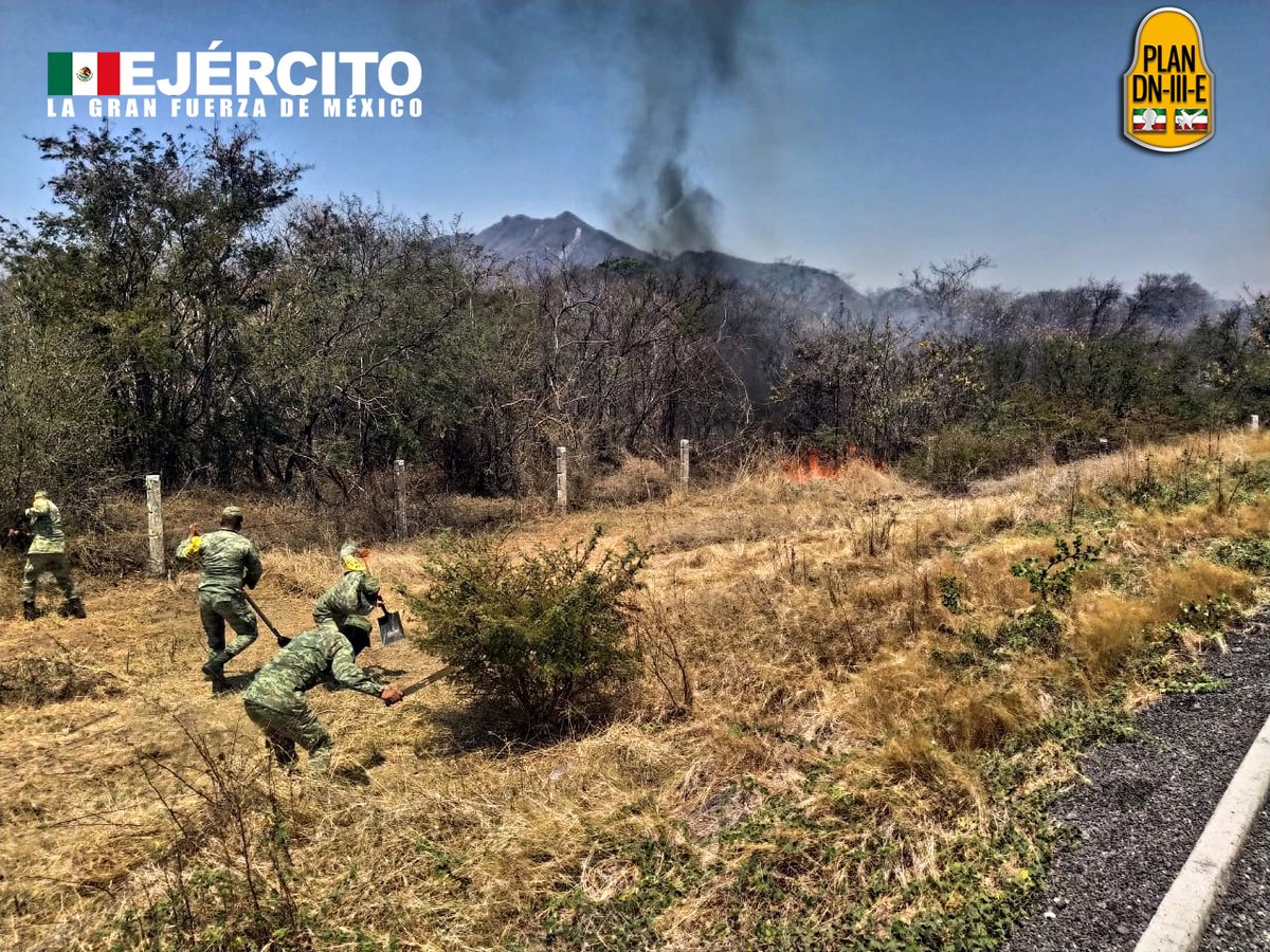 Defensamx1's tweet photo. Elementos pertenecientes a la #46ZonaMilitar  aplican el #PlanDNIIIE sofocando un incendio forestal sobre la carretera Ixtepec-Salinas Cruz, en el kilometro 43-44 del estado de #Oaxaca
#UnidosSomosLaGranFuerzaDeMéxico #CadaDíaCadaSoldadoPorCadaMexicano https://t.co/PE24eHiDNH
