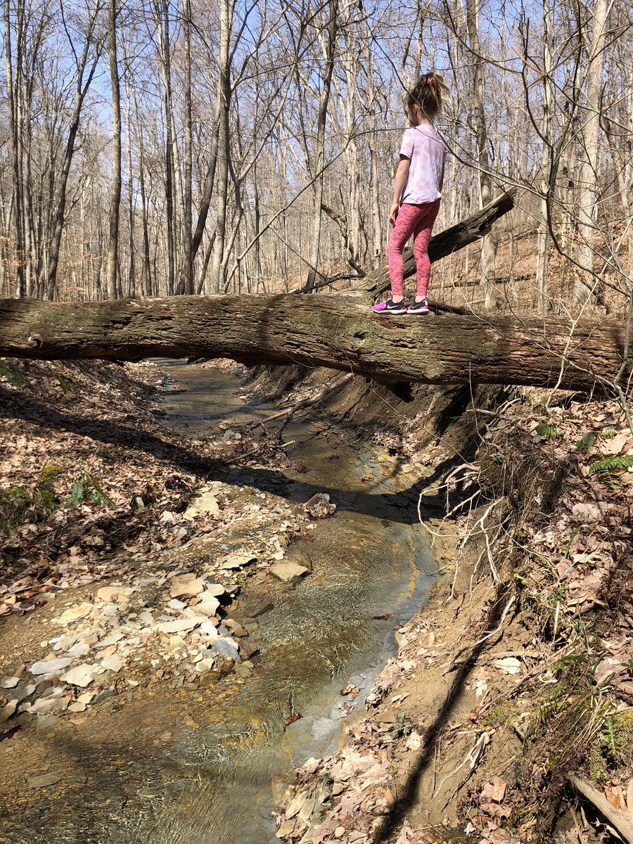 GavinPFisher's tweet photo. Had an awesome day. Started with a picnic, then a hike, crossing above the creek and then in the creek! #CarolinaBlueToo enjoys nature! #beautifulspringday #hiking #getoutside #enjoyyourday @fisherinfishers https://t.co/fFzyMLjixU