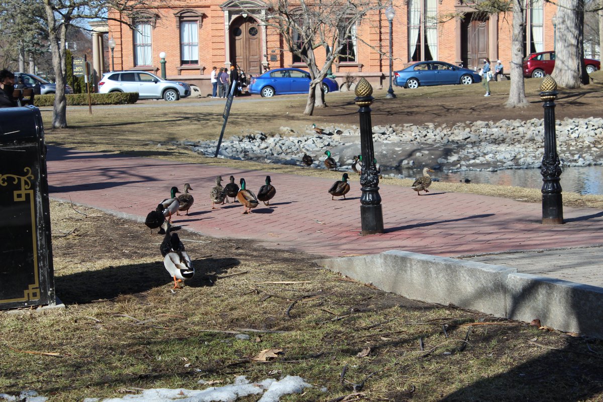 DanWarner23's tweet photo. Shared from Photos app
4 photos https://t.co/wiathXQhcE