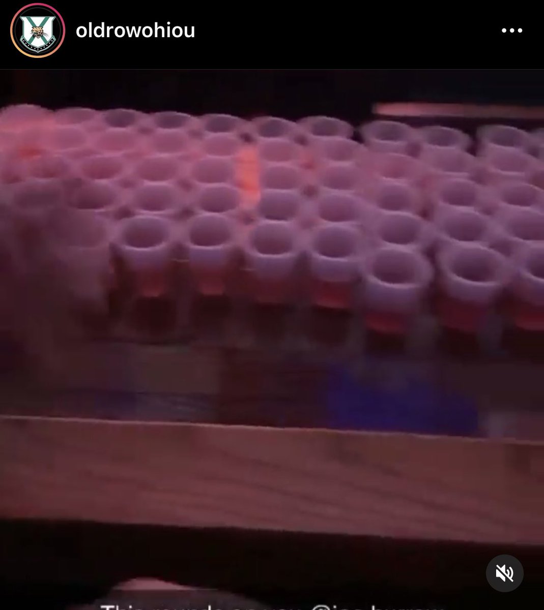 CursedCincy's tweet photo. Joey B buys $500 worth of shots for a bar at OU 🐐 https://t.co/VF688W8huL