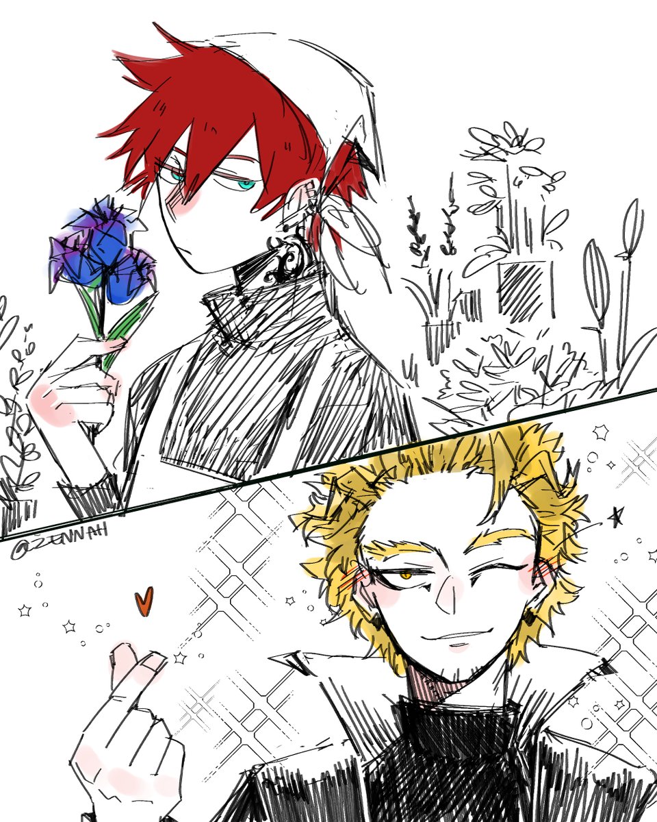 Flowershop boy Touya & Superstar Hawks
#dabihawks 