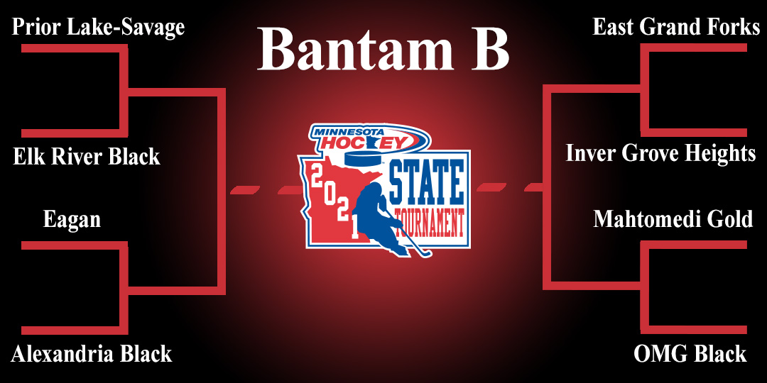MinnHockey's tweet photo. Congratulations to the teams who qualified for the 2021 Bantam B State Tournament at the New Ulm Civic Center! #Drive2State https://t.co/g9bOMUnclt