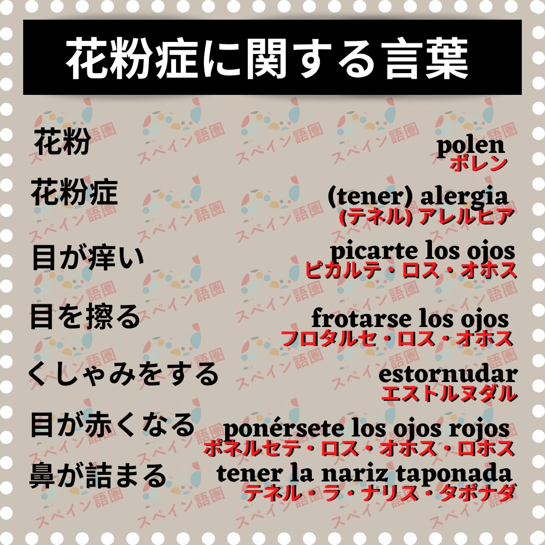 スペイン語圏 Supeingoken Twitter