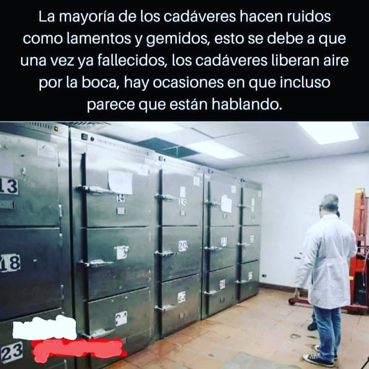 CrimiMex's tweet photo. 💀Esto puede llegar a suceder cuando se acumulan los gases💨, o cuando se procede a tomar las muestras odontológicas correspondientes👄. El cuerpo no articula palabras, sólo sonidos por el movimiento de las cuerdas bucales.
#HablemosDeCrimi
#MedicinaLegal
#OdontologíaForense https://t.co/NIBYYuWYok