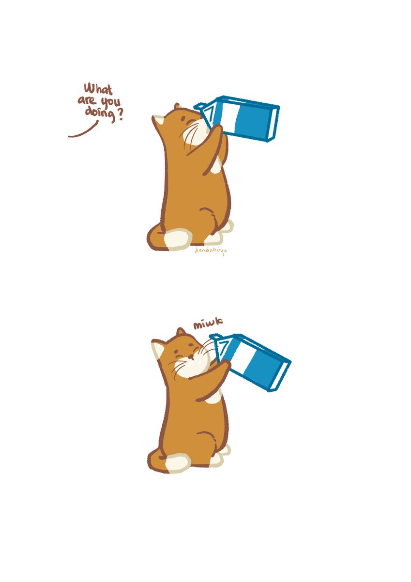 din🌟 comms tweet media