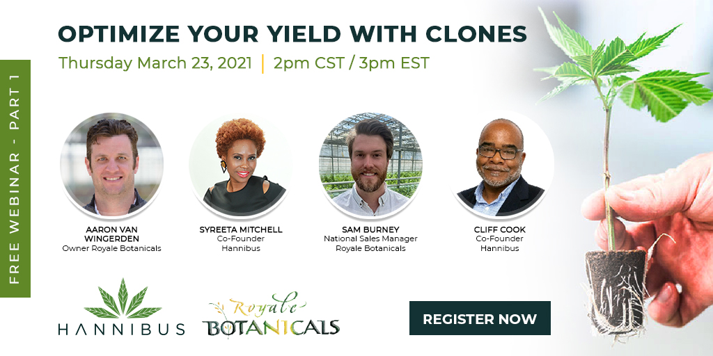 TeamHannibus's tweet photo. Ready to #optimize your yield with hemp #clones?

Join @TeamHannibus and Royale Botanicals experts on Tuesday for a live interview. Register free:  https://t.co/tlj9cz4on8 https://t.co/P4QNxCgrQF