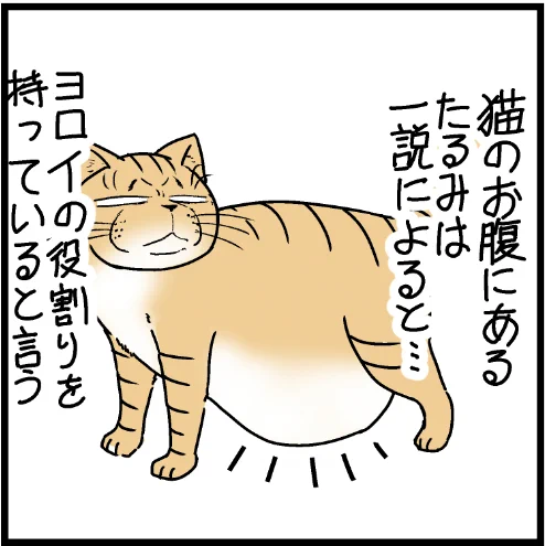 これがルーズスキンだ!w#ニャンコ  #まんが #マンガ #4コマ漫画 #四コマ漫画 #猫  #ねこ #猫あるある #猫漫画 #ペット #飼い主 #エッセイ漫画 #キャット #ねこのいる生活 #猫ばか 