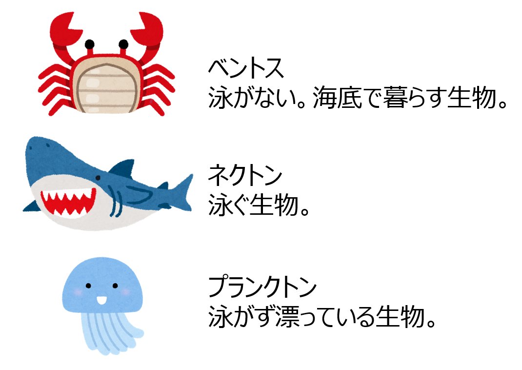 ライチュウ プランクトンという言葉だけ知ってたけど ベントスとかネクトンとか知らなかったな こういうことらしい T Co Tetxa87iif Twitter