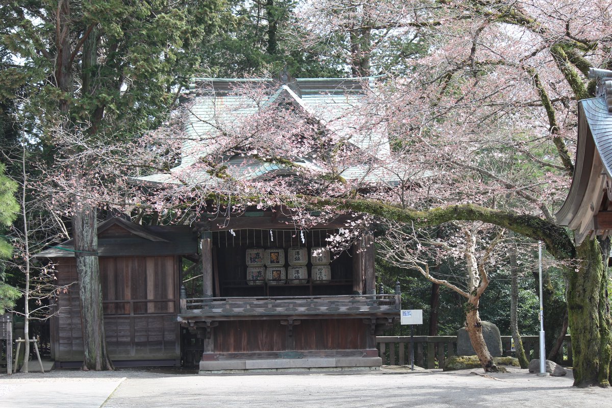 宇都宮二荒山神社 公式 境内の桜も開花が進んでおります 3月27日より4月11日まで 日没より時30分まで大鳥居 正面階段 神門のライトアップを実施いたします 神社は19時に閉門となりますが 正面階段の 夜桜をお楽しみください ライトアップ写真 宇都宮二荒山神社 公式 境内の桜も開花が進んでおります 3月27日より4月11日まで 日没より時30分まで大鳥居 正面階段 神門のライトアップを実施いたします 神社は19時に閉門となりますが 正面階段の 夜桜をお楽しみください ライトアップ写真