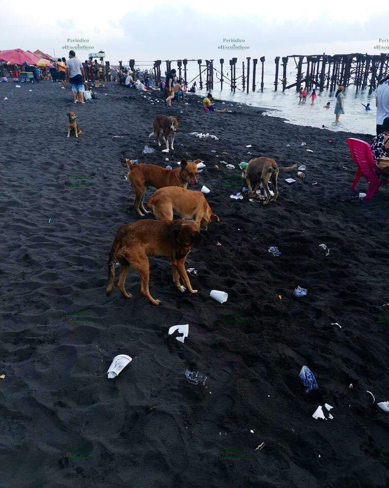stereo100xela's tweet photo. #Lente100 | Así quedó la playa del Puerto San José, Escuintla 🇬🇹 .

📷 Pampichi News GT. https://t.co/j1xhsLYmGs