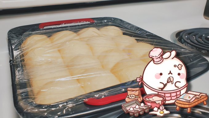 Making homemade dinner rolls tonight uwu Letting those bitches rest rn https://t.co/VBgFPI6Yv2