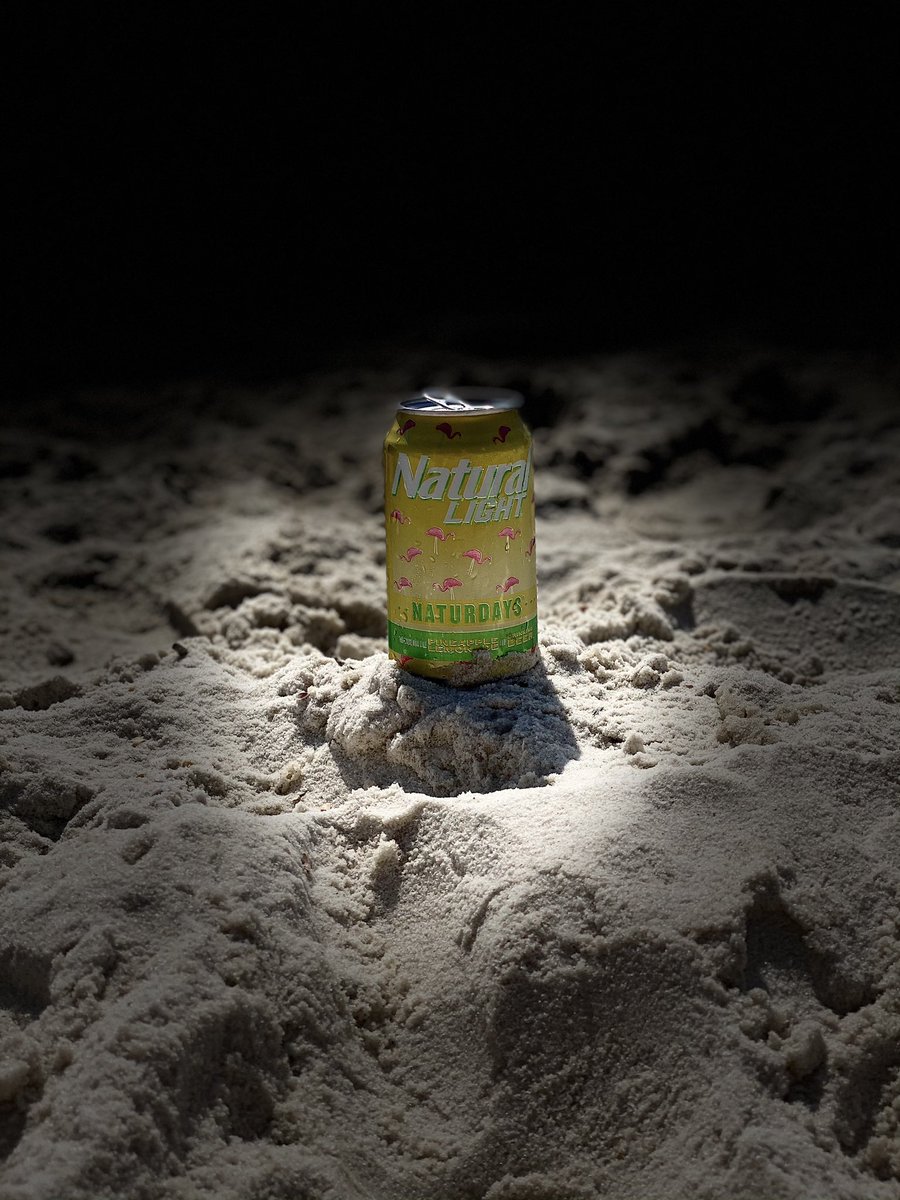 HuntirW99's tweet photo. @naturallight hire me. They are even better on the beach https://t.co/7i8wI5CcSU