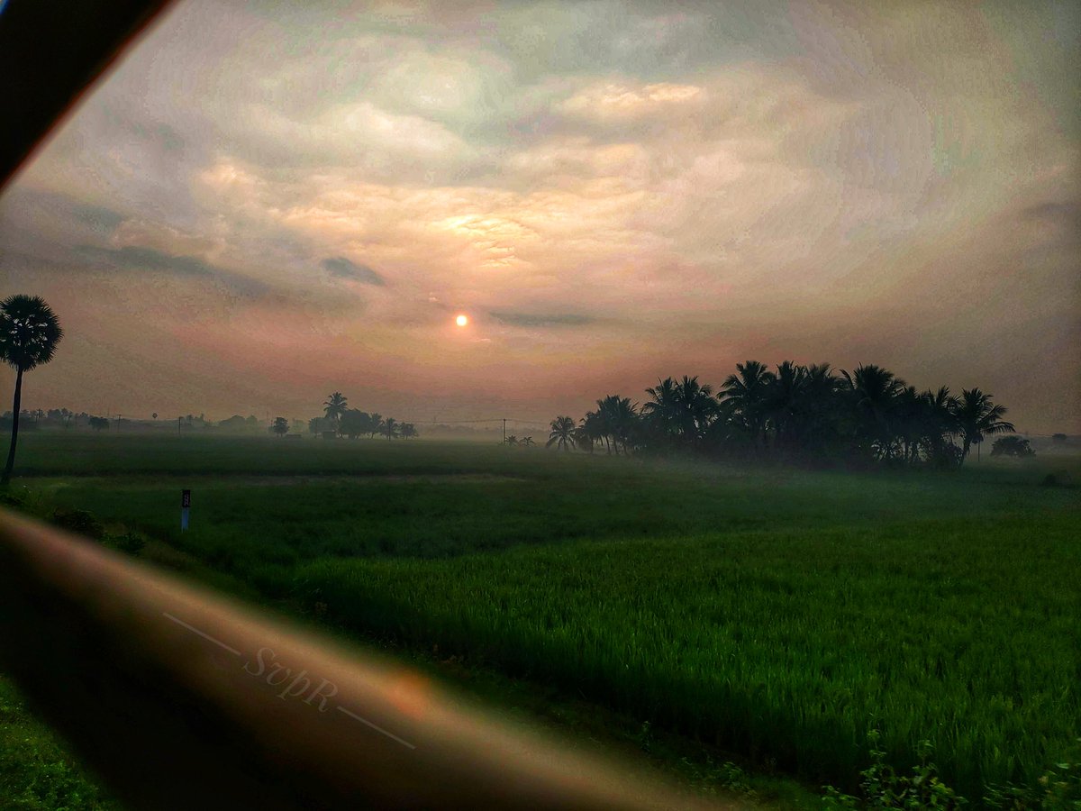 Srivilliputtur1's tweet photo. Picture taken by one fine day. (in between Srivilliputhur Railway station and Rajapalayam Railway Station )

#MemoriesWithRailways

#svpr https://t.co/mJFysEc3pj