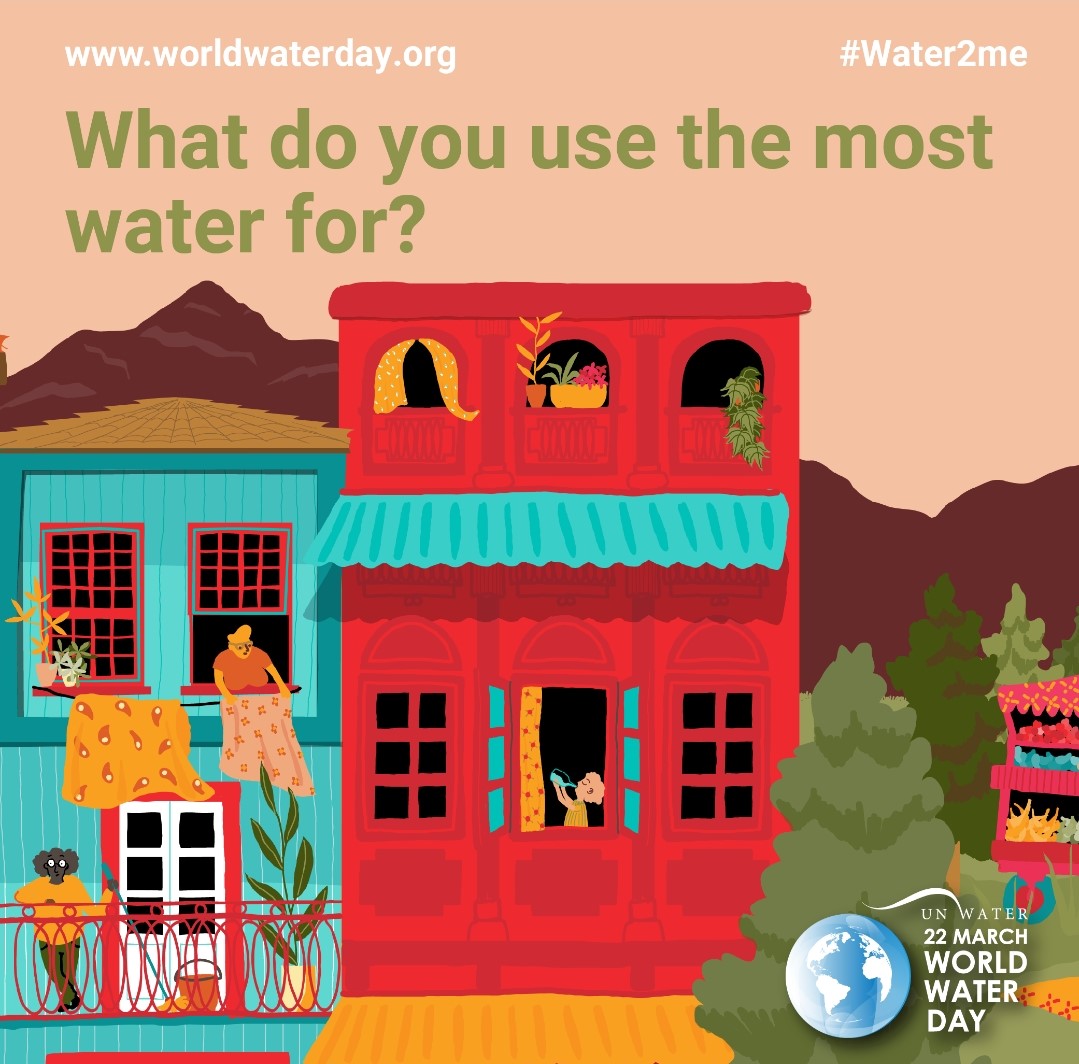 Geography at Amity Abu Dhabi tweet media