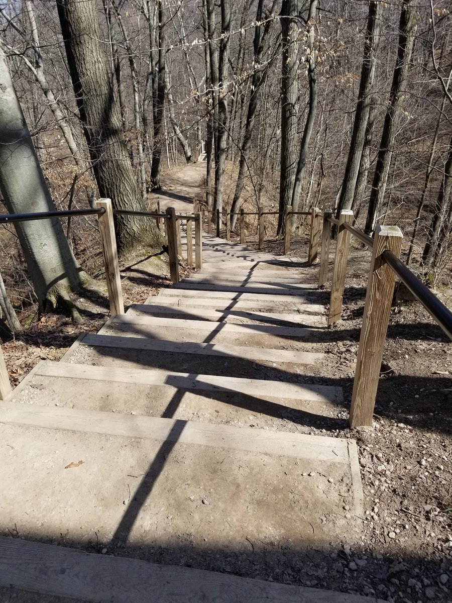 The dog park and ravines were very pleasant today