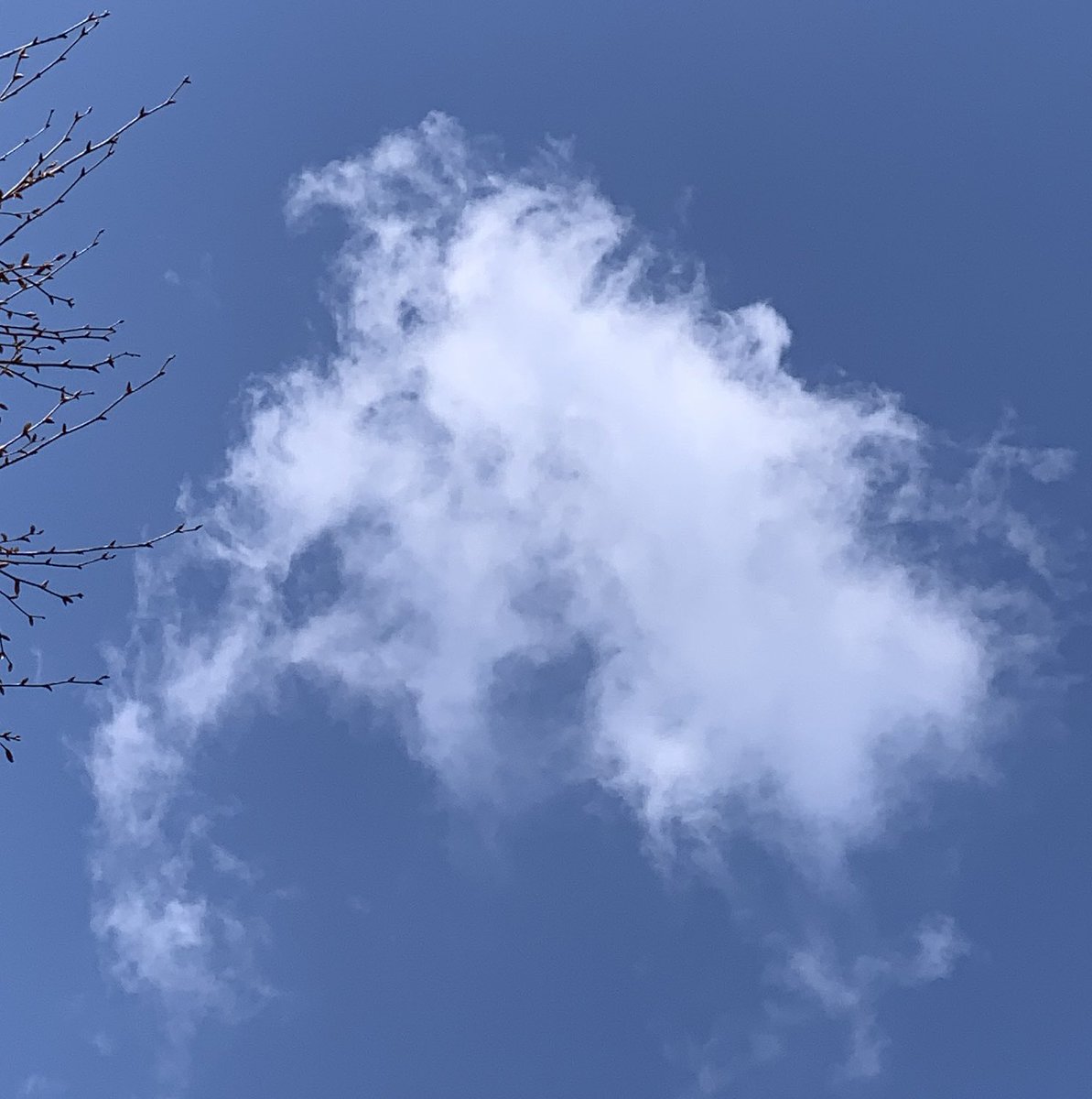 나의 영원한 우상 나의 이십대 하성운
생일축하해🤍