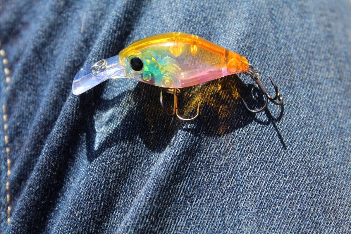 BrosWicked's tweet photo. Just some photos from today- check out the youtube- https://t.co/2VTsLWrYsK
#fishing #bass #prespawnbass #spring #pennsylvania #rippinlips https://t.co/tXr30nhc7q