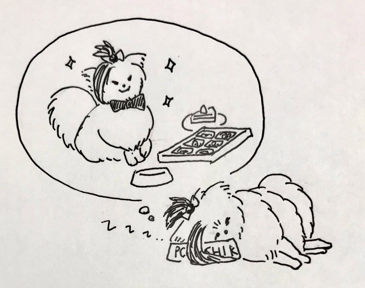 ぽめちかの夢。ぽめちかはいつかオシャレをしてドッグカフェというところに行くのが夢。いつものカリカリしたご飯じゃなくて、病気の時とかにたまにもらえるしっとりしてる美味しいご飯とか、食べてもいいケーキとかあるらしい。そう、ケーキ!ドッグカフェではケーキを食べていいらしい! 
