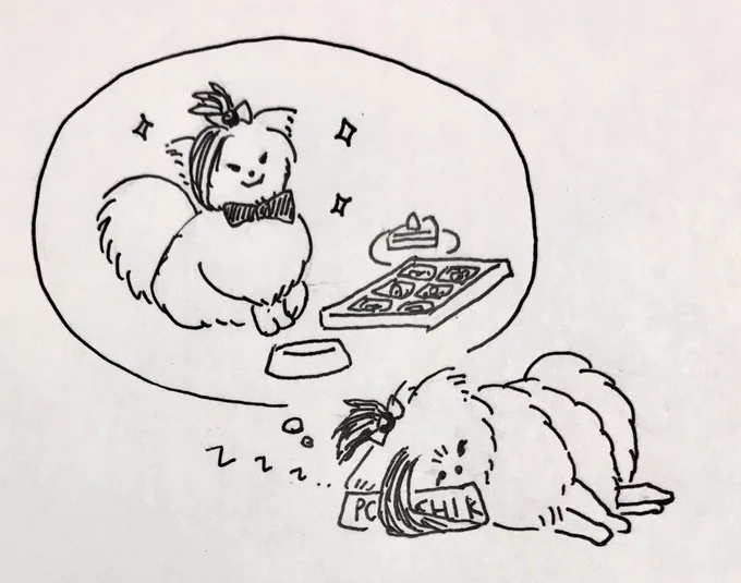 ぽめちかの夢。ぽめちかはいつかオシャレをしてドッグカフェというところに行くのが夢。いつものカリカリしたご飯じゃなくて、病気の時とかにたまにもらえるしっとりしてる美味しいご飯とか、食べてもいいケーキとかあるらしい。そう、ケーキ!ドッグカフェではケーキを食べていいらしい! 