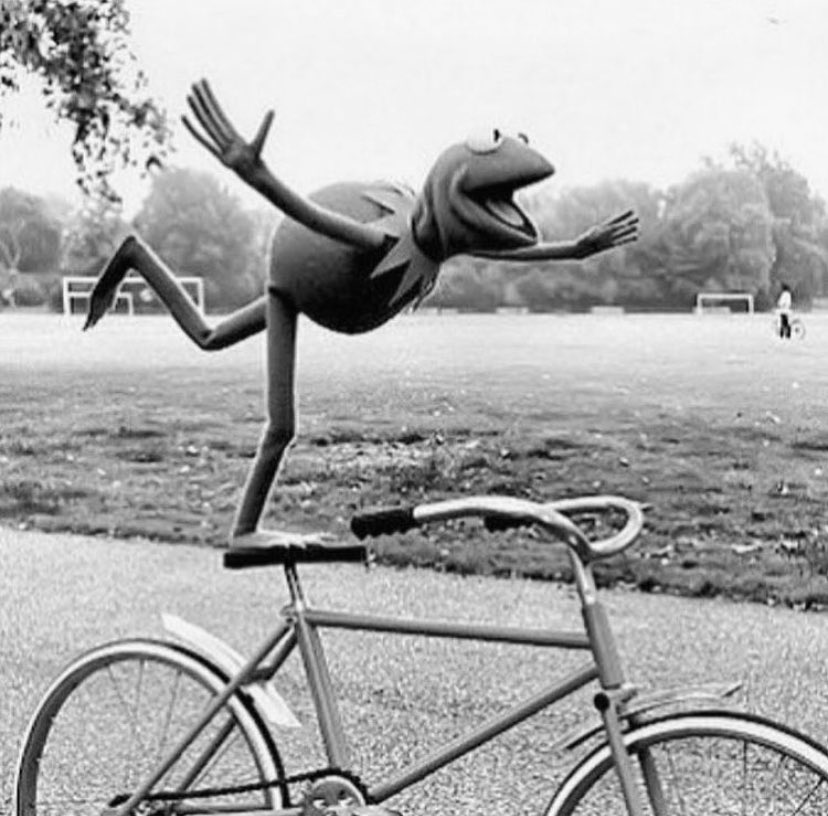 bonitodesign's tweet photo. When spring arrives! 😂 https://t.co/gGMg3nMOYu
