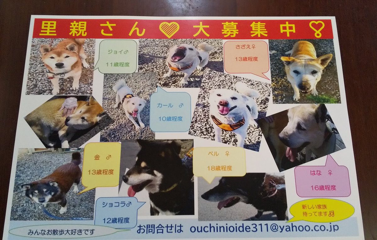 fukurin311's tweet photo. #里親募集中 🐕️
#里親募集 🐕️
#里親急募 🐕️
#岐阜県
親友が作って送って来てくれた👍️
お家に🏠️においでの
お問い合わせはDM📩へ https://t.co/ZLbD3uNAjr