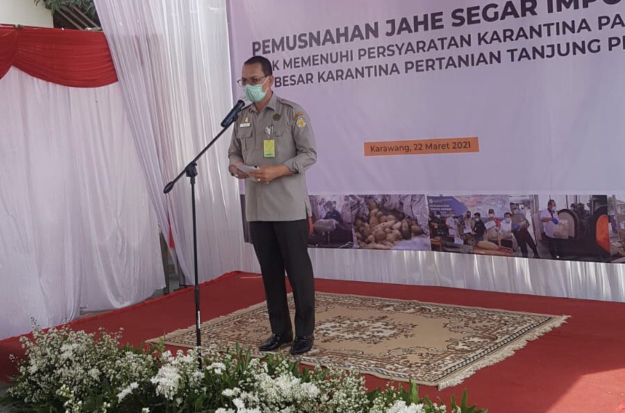 BarantinRI's tweet photo. Semangat pagi ✊

Pagi ini (22/3) Ka @Barantan_RI mewakili Mentan @Syahrul_YL akan memimpin tindakan karantina brp pemusnahan thd 108 ton jahe impor yg tdk memenuhi persyaratan karantina asal Myanmar &amp; Vietnam.

Turut hadir Waka DPR RI @DediMulyadi71.
#PemusnahanJaheBerpenyakit https://t.co/eyjNS6sGsE