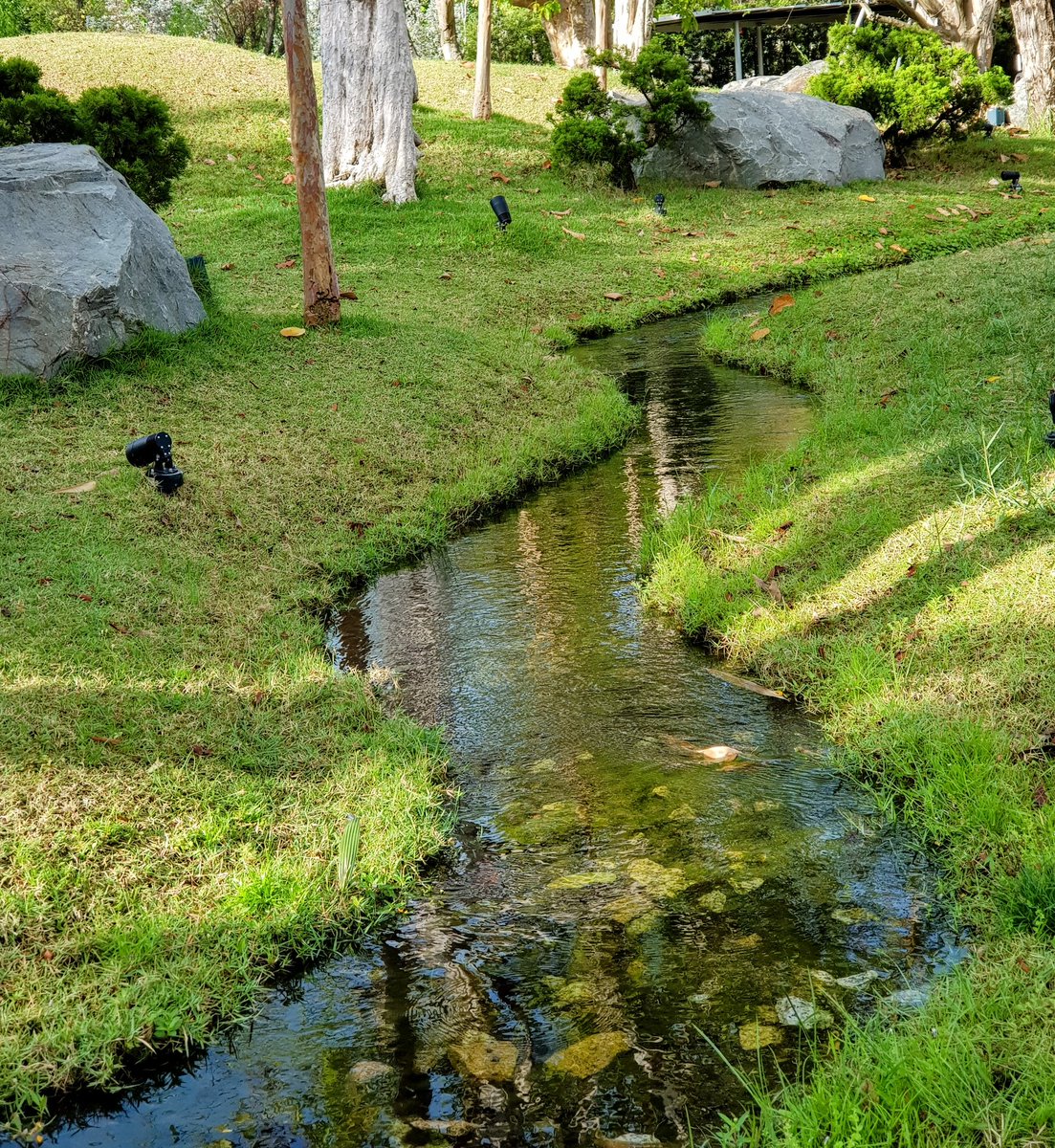 Treat yourself with something new - new place,  new experience,  new perspective on the Twitter Rest Day #gratitude #lovewhereyouwork 🧸😎🌿🌺 感謝公司 休息日 。。。讓自己有一些 新的 經驗， 看看新的地方， 體驗新的觀感