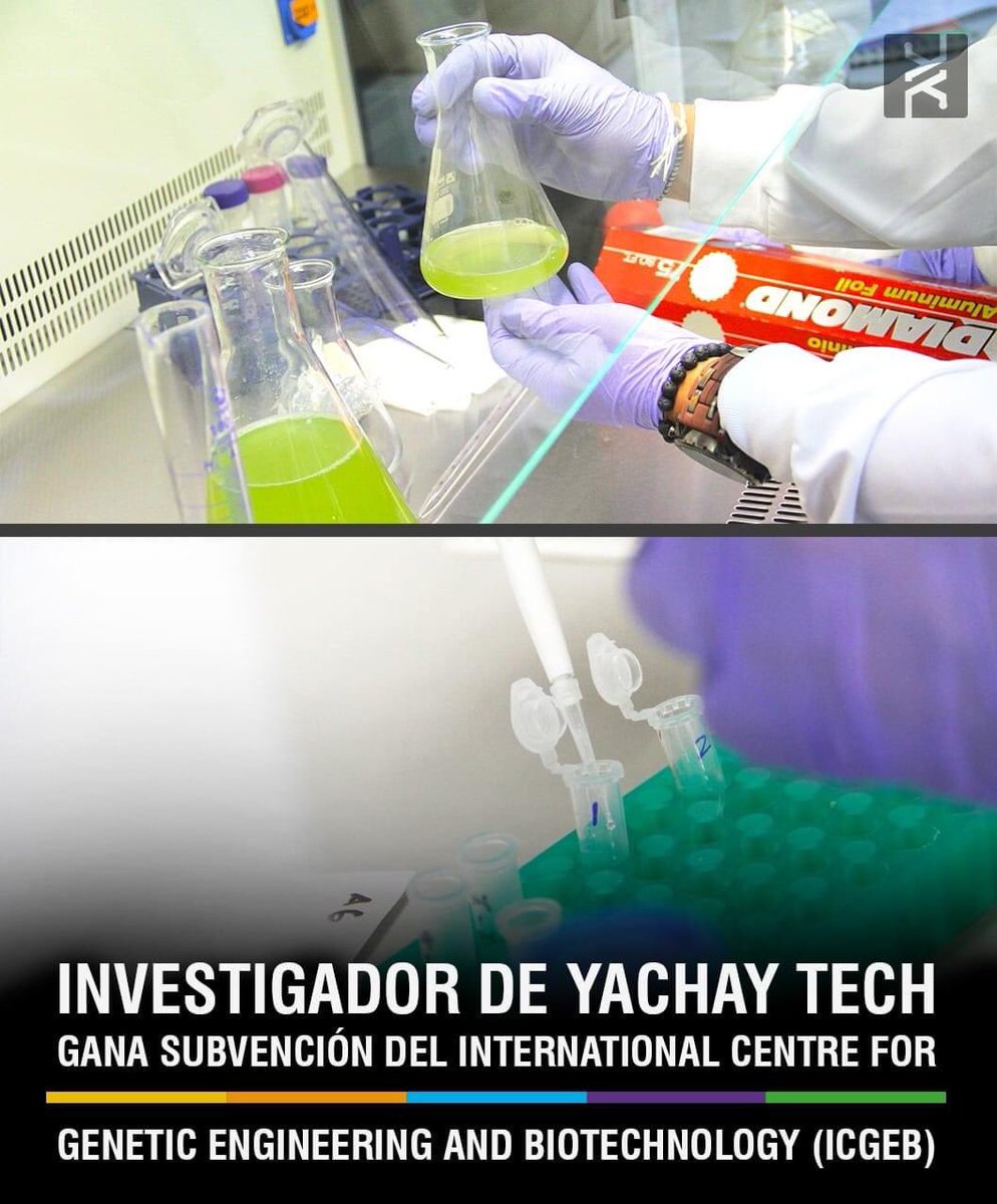 Evelin_GCB's tweet photo. @neniChavez Me permito darte un resumen del último mes #somosyachaytech https://t.co/JqCwh90mhK