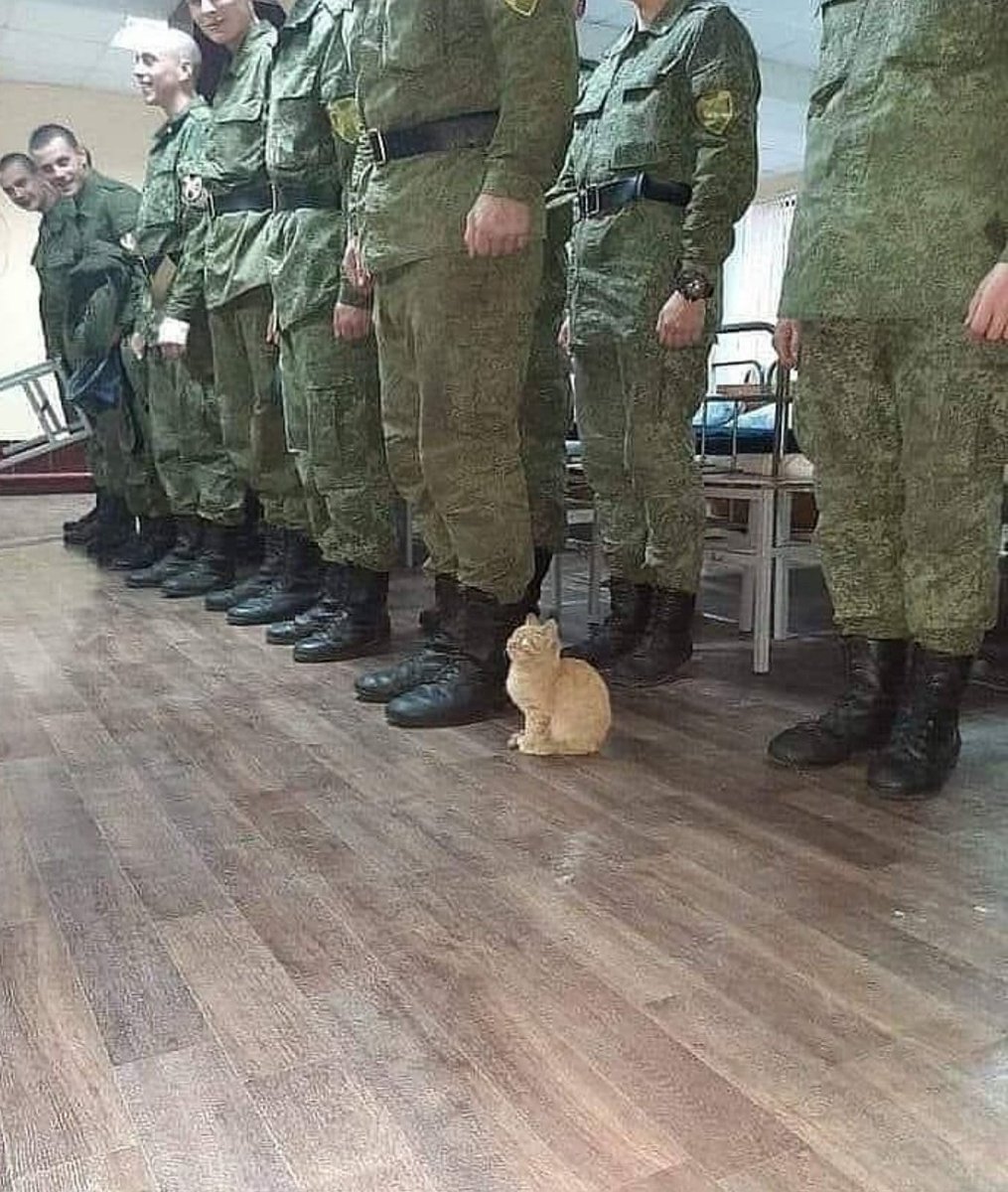 ulat_bulu_bulu's tweet photo. Alhamdulillah, dah dapat uniform. https://t.co/sahjik4iH5