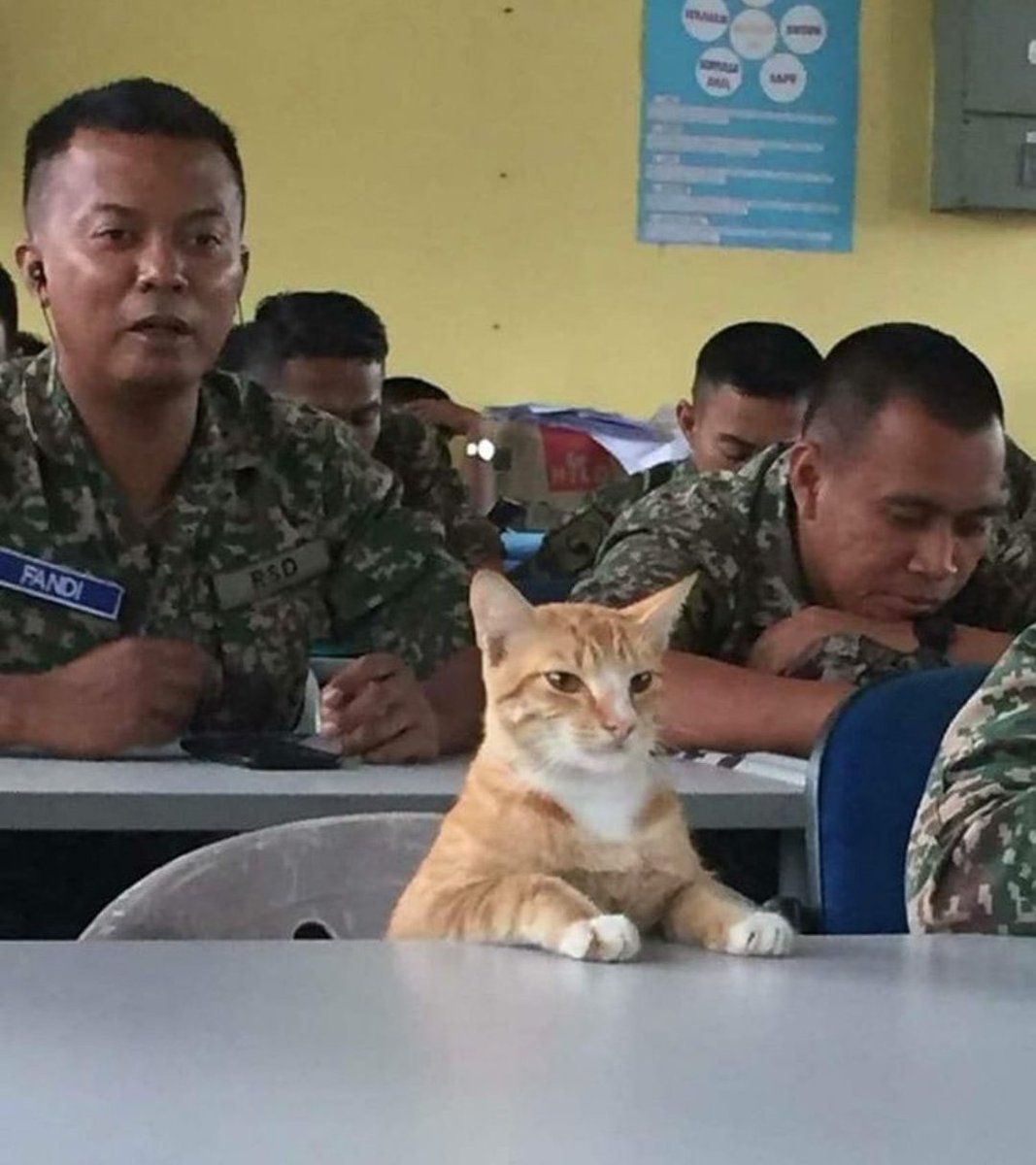 ulat_bulu_bulu's tweet photo. Alhamdulillah, dah dapat uniform. https://t.co/sahjik4iH5