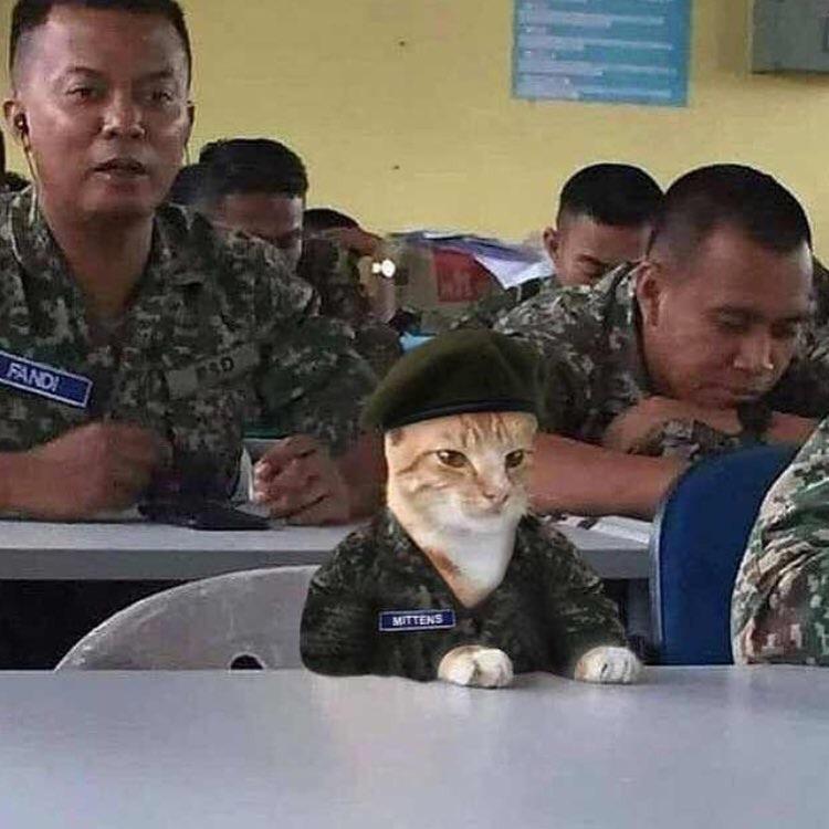 ulat_bulu_bulu's tweet photo. Alhamdulillah, dah dapat uniform. https://t.co/sahjik4iH5