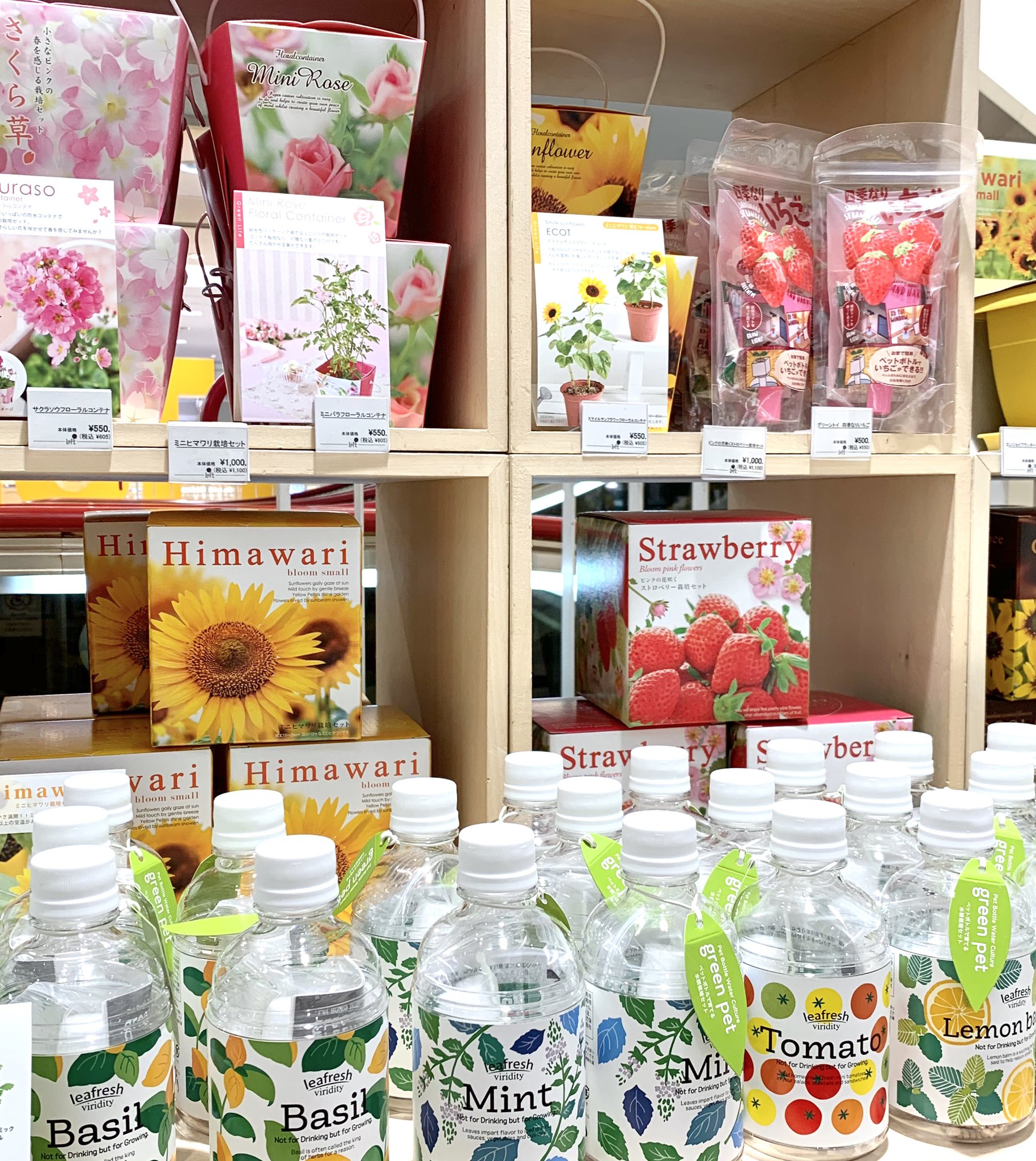 大宮ロフト おうち時間に植物を育ててみませんか 栽培マーケット には 野菜 果物 ハーブや花の栽培キットがずらり キットには 種 土 鉢がセットになっているので買ったその日にスタートできます 食べられるものは収穫後もお楽しみが待ってい 大宮ロフト おうち時間に植物を育ててみませんか 栽培マーケット には 野菜 果物 ハーブや花の栽培キットがずらり キットには 種 土 鉢がセットになっているので買ったその日にスタートできます 食べられるものは収穫後もお楽しみが待ってい