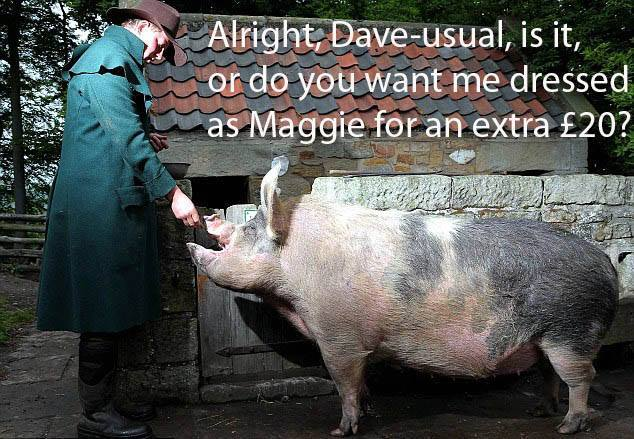 TedGrunewald's tweet photo. #PigGate #Hameron #baeofpigs #Hamsexual #snoutrage #JeSuisCharcuterie https://t.co/Iv2LNPRrsX