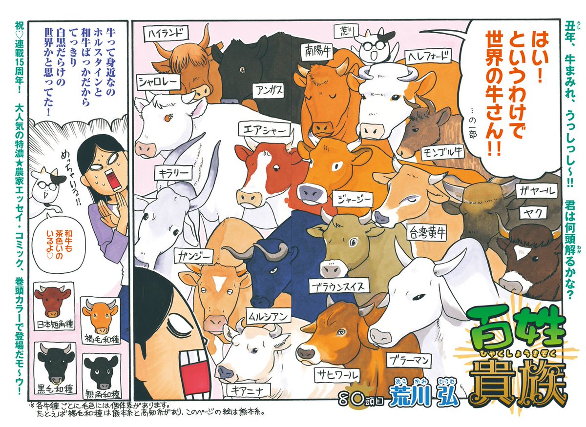 百姓貴族 公式情報ツイッター Hyakusho Kizoku Twitter