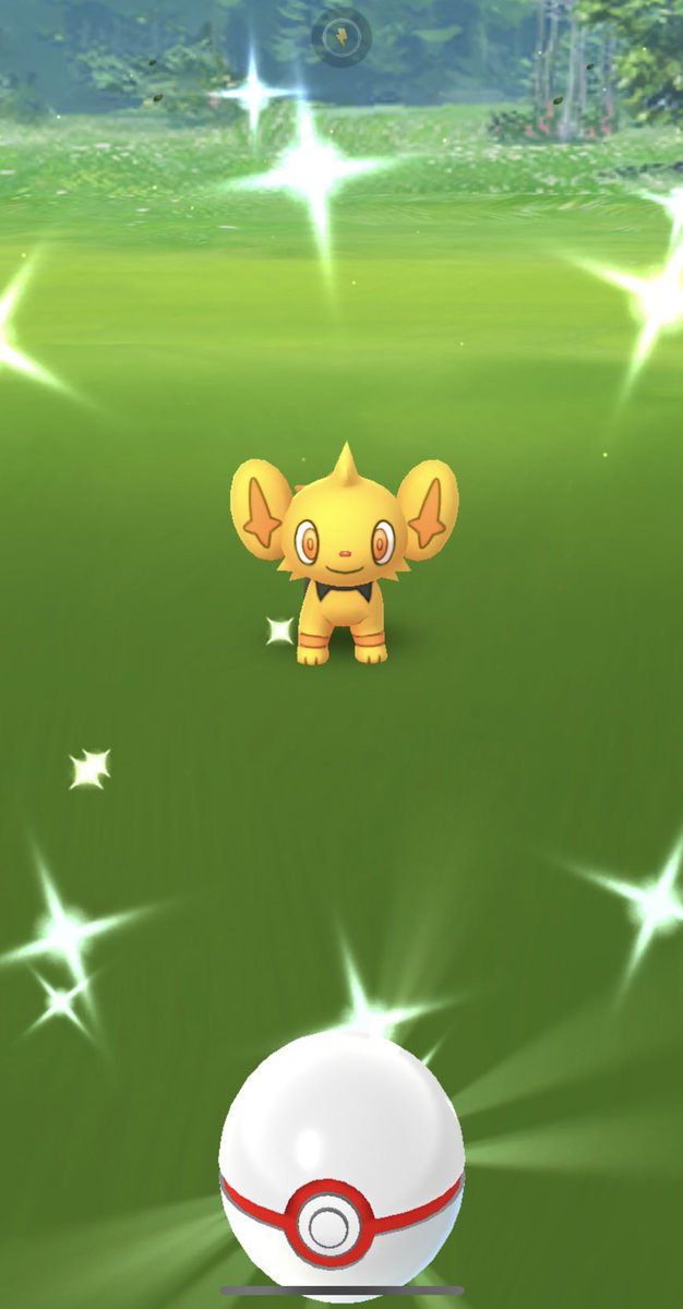 コリンク色違い