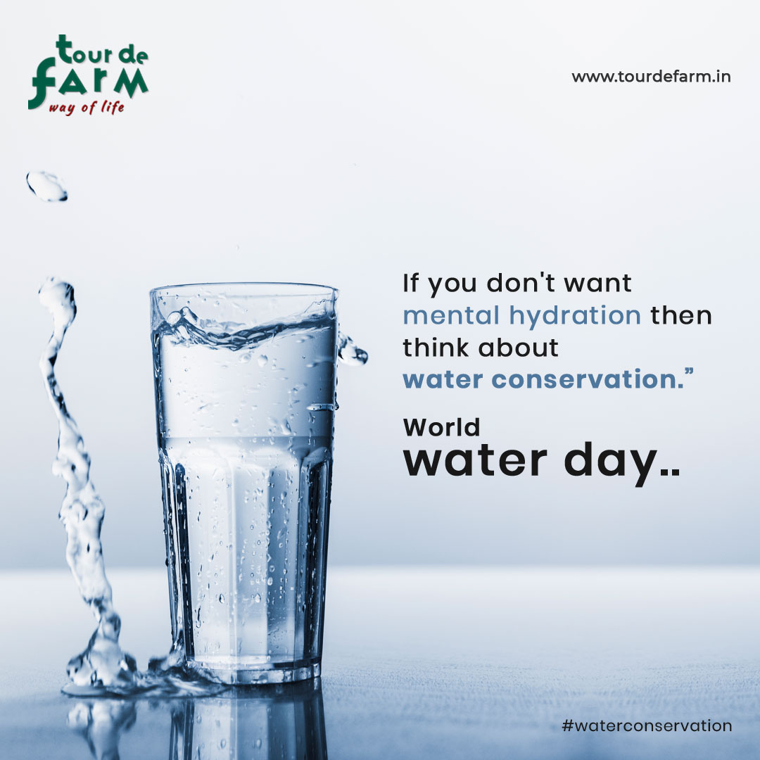 TourdeFarm_IN's tweet photo. World water day

"What water means to you?

Everyone has a role to play. In our daily lives, there are surprisingly easy steps we can all take to address climate change. Pledge to stop water wastage. "

#worldwaterday #waterconservation #Water2me #Worldwaterday2021 #tourdefarm https://t.co/KsmZiNDMs8