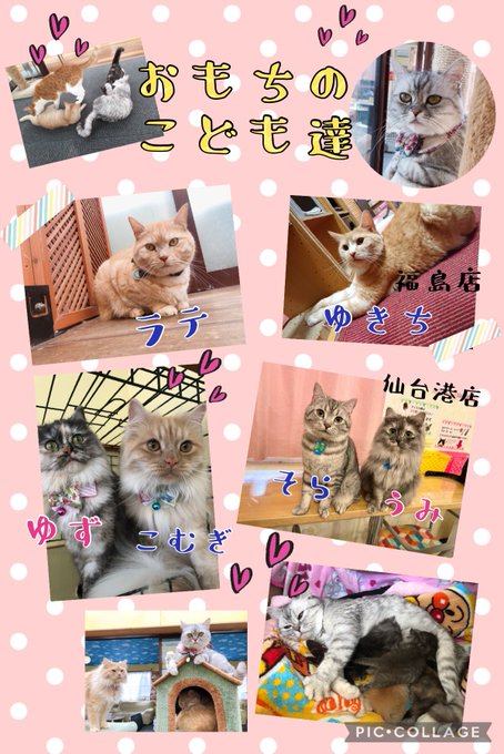 Amipa Neko1130さんのイラストまとめ Amipa Neko1130さんのイラストまとめ