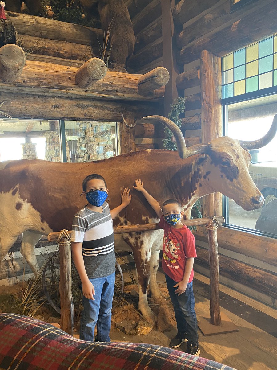 mrmrsking17's tweet photo. They love the great out doors 🏕🎣🪵🔥🦅 #bassproshop #campingworld #wildkids #nature #goodsam #RVdotCom #fishing #camping #adventure #wild #kingfamily https://t.co/6BrbgV1Ikg