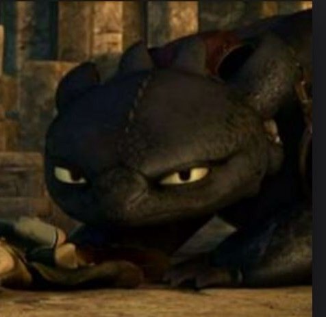 smilehaley23's tweet photo. @Corpse_Husband listen... my cats  name is Echo...and he is dope, and sweet as can be...he is
also a dragon
😎 https://t.co/JyX7zBiHVY