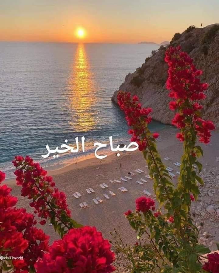 محمد💥عياد tweet media