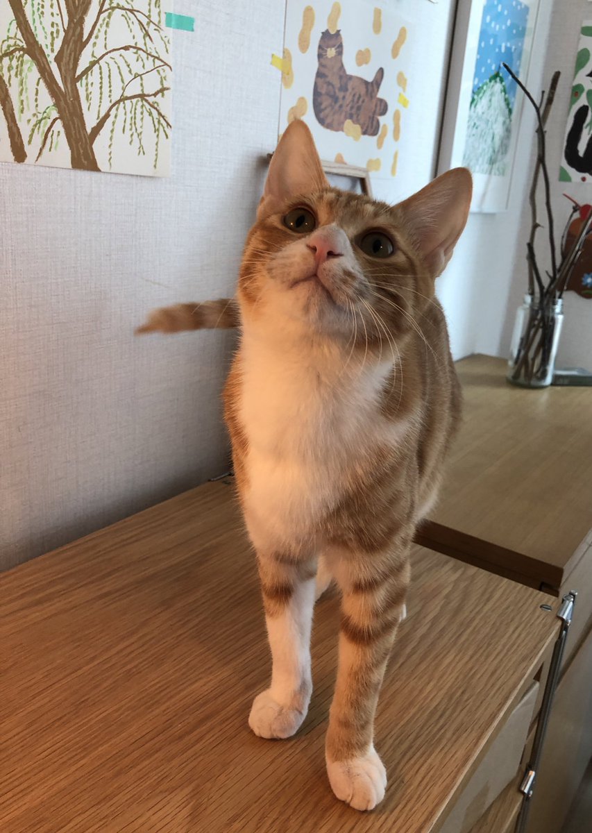 요롷게 예쁜데 왜 엄마 안와오?