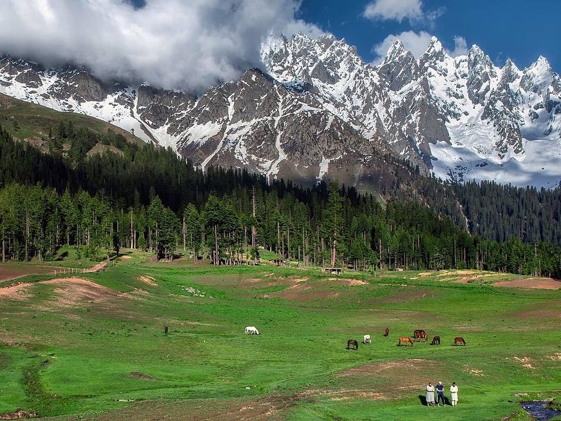 IROPakistan_'s tweet photo. Jag Banal Meadows, Upper Kalam Swat

#Punjab #Azadkashmir #Balochistan #Sindh #KPK #GilgitBaltistan #Pakistan #WonderfulPakistan #Pakistanis #PakistanPics #pakistanbeautiful #Pakistanis #travelpakistan #travelling #travelphotography #travelphotography https://t.co/u46DZwBT0l