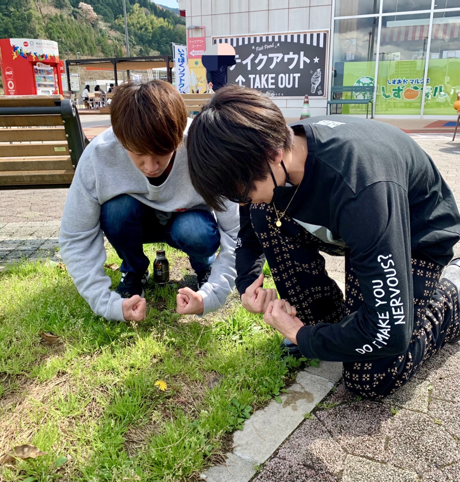 手島章斗 Solidemo たんぽぽの花 Futagorilla