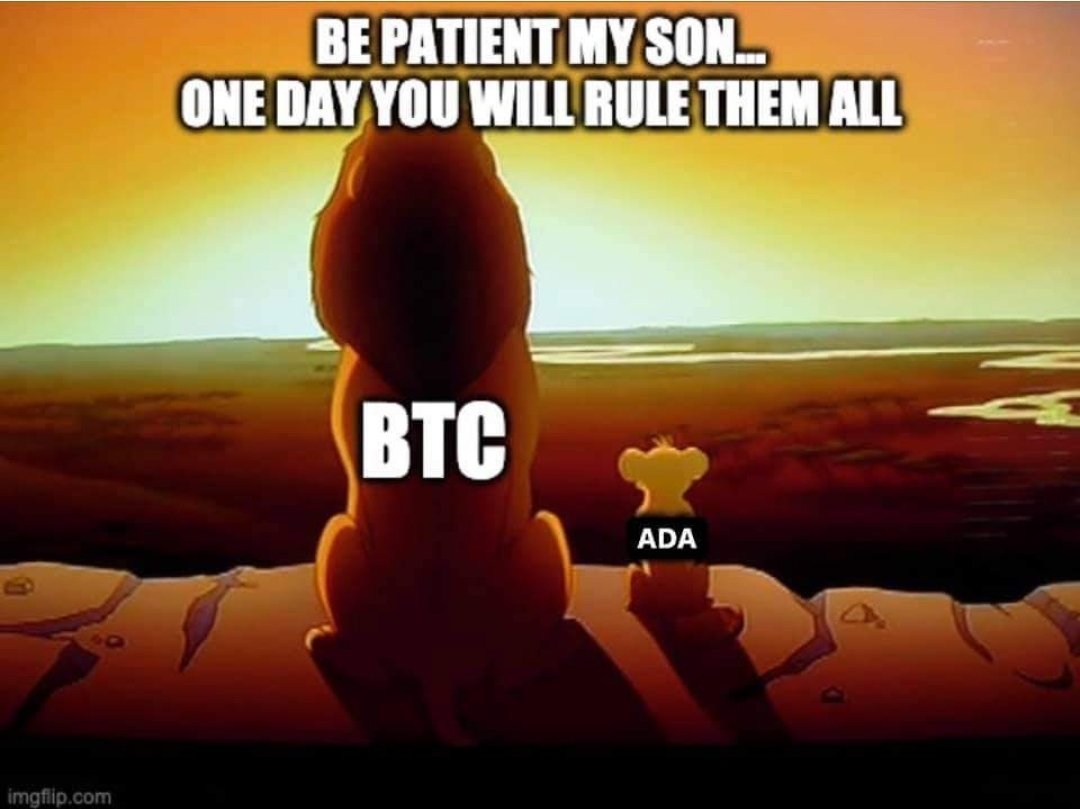 Coinfera1's tweet photo. Truth to be said.
#Cardano #Cardano360 #ADA https://t.co/FkCzpvY9Xa