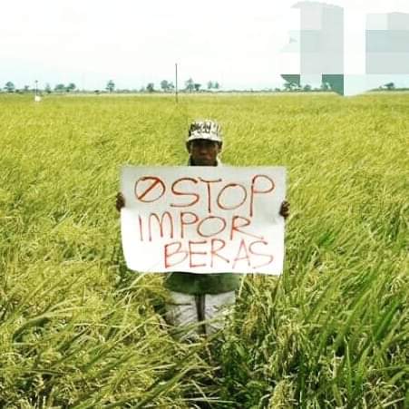 Hamparan sawah memang tidak menghasilkan banyak uang Akan tetapi hamparan sawah menjaga martabat dan budi pekerti,Hanya dengan hati nurani kita dapat memahami nasib kaum petani dan keberlangsungan generasi.

#TolakImporBeras #SelamatkanPetani