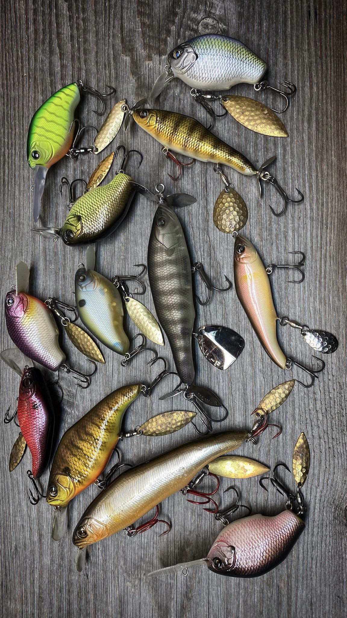 ʏᴜᴍᴀ 今流行りの西根さんのルアー達を待ち受けにしてたら早速ご利益がありました T Co 4vnb5twv27 Twitter