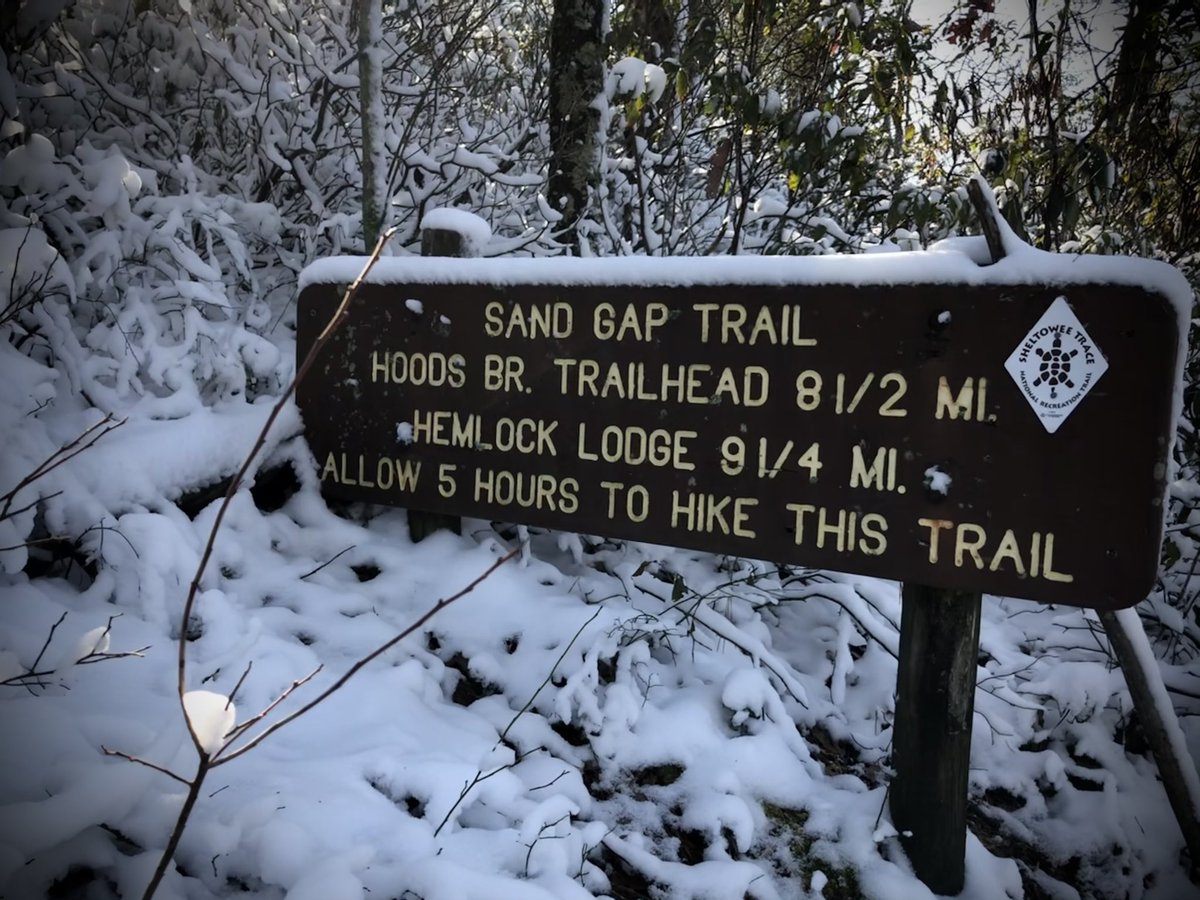 RealTrailSigns's tweet image. Sand Gap Trail at #NaturalBridgeStatePark cc:@SheltoweeTrace